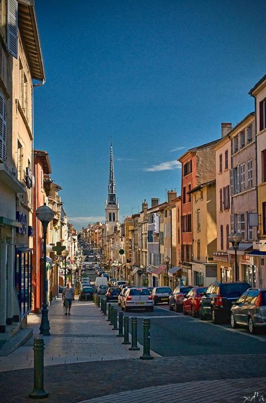 Le Cosy Twin Leilighet Villefranche-sur-Saône Eksteriør bilde